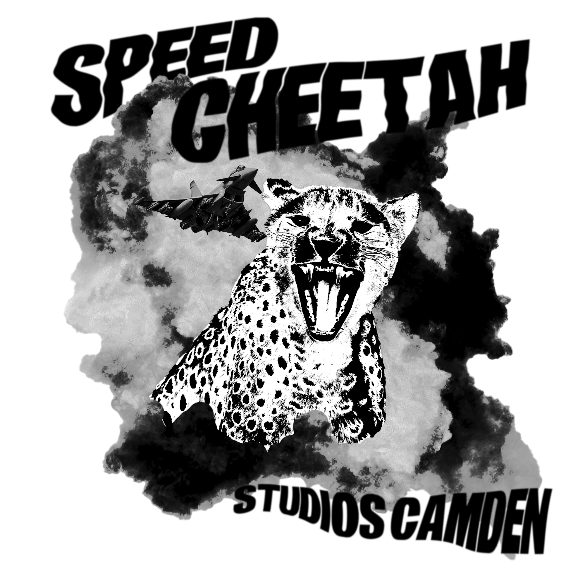 Speed Cheetah Camden Logo